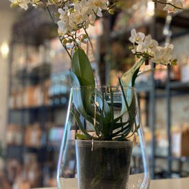 Vase av glass med blomster