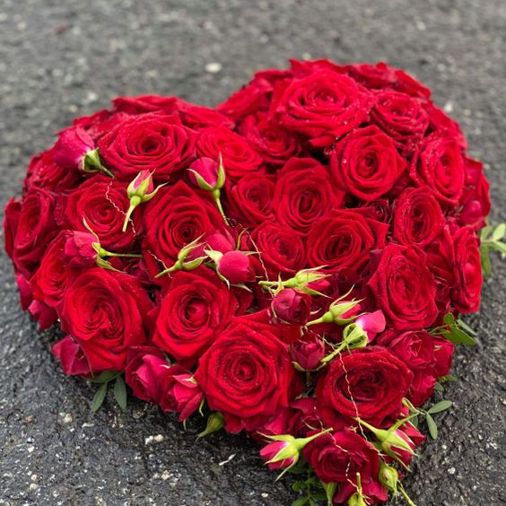 Røde roser formet som hjerte